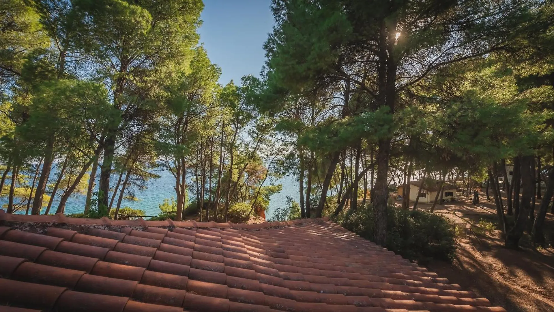 Squirrel Beach Front Villa, Metamorfosi 0*, Metamórfosi