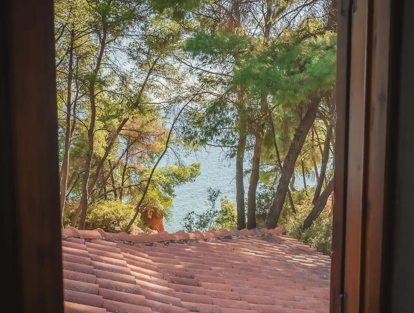 Squirrel Beach Front Villa, Metamorfosi 0*, Metamórfosi